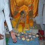 Vraj-Yatra-2014- (423)